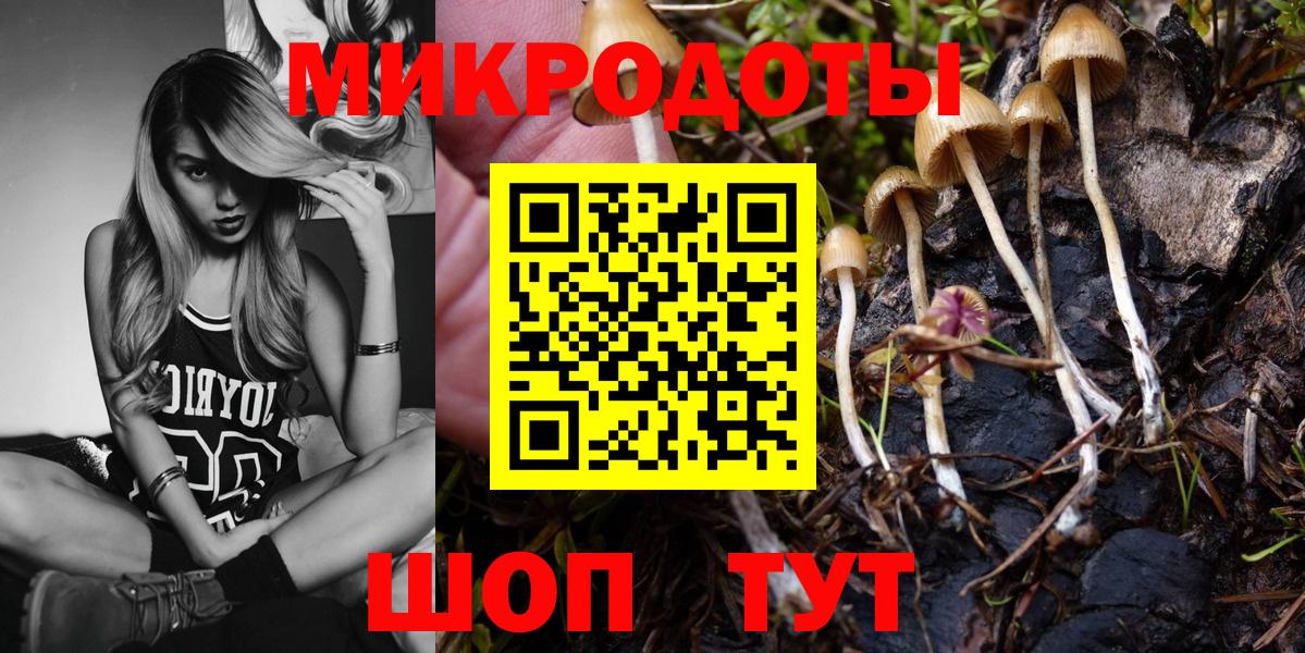 Псилоцибиновые грибы Cubensis  Вход с VPN  Трёхгорный 